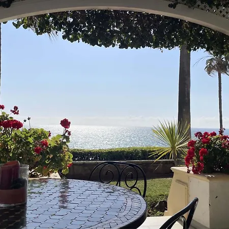 Vip Dominion Естепона